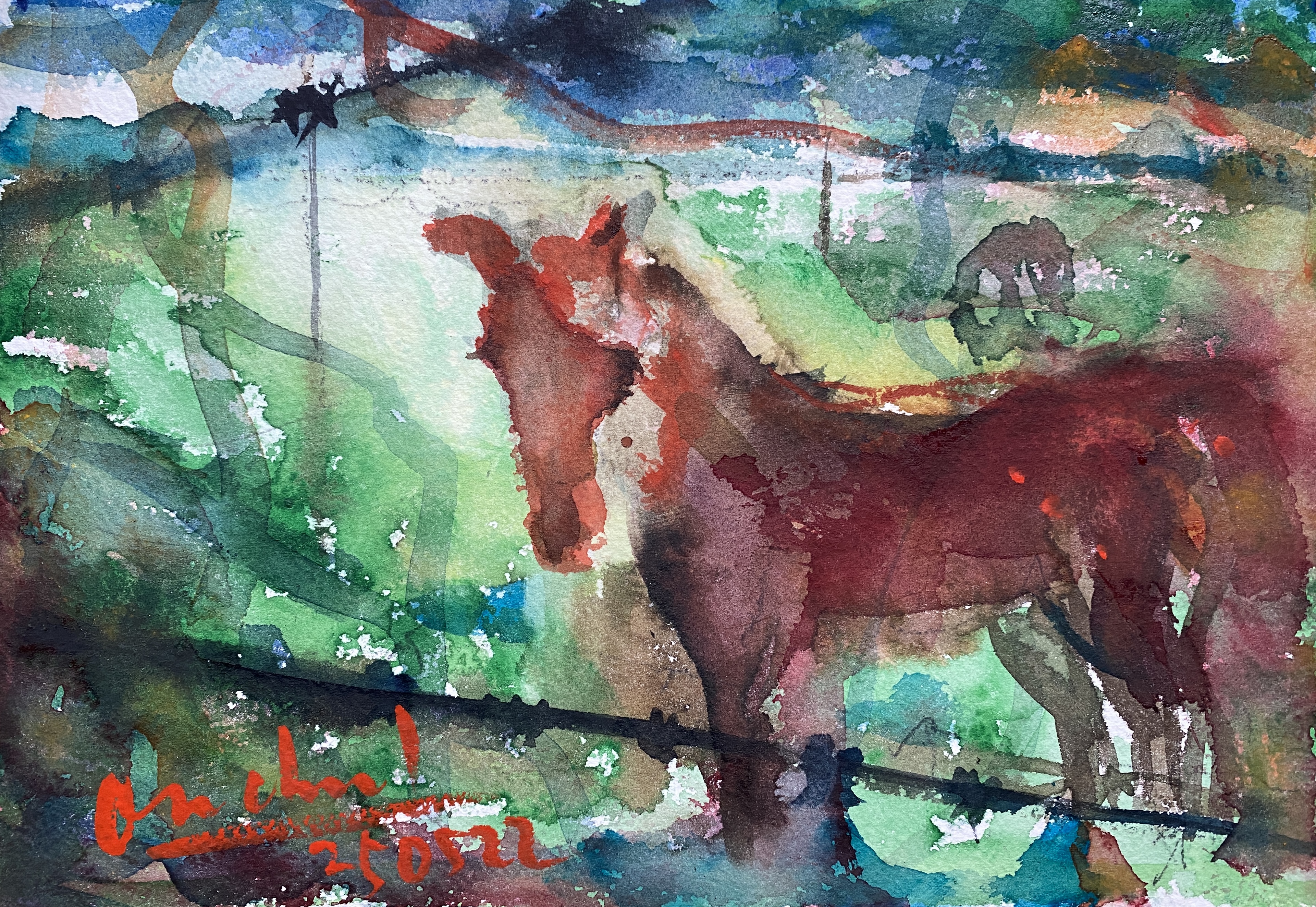 Encounter on the road to Camino de Santiago