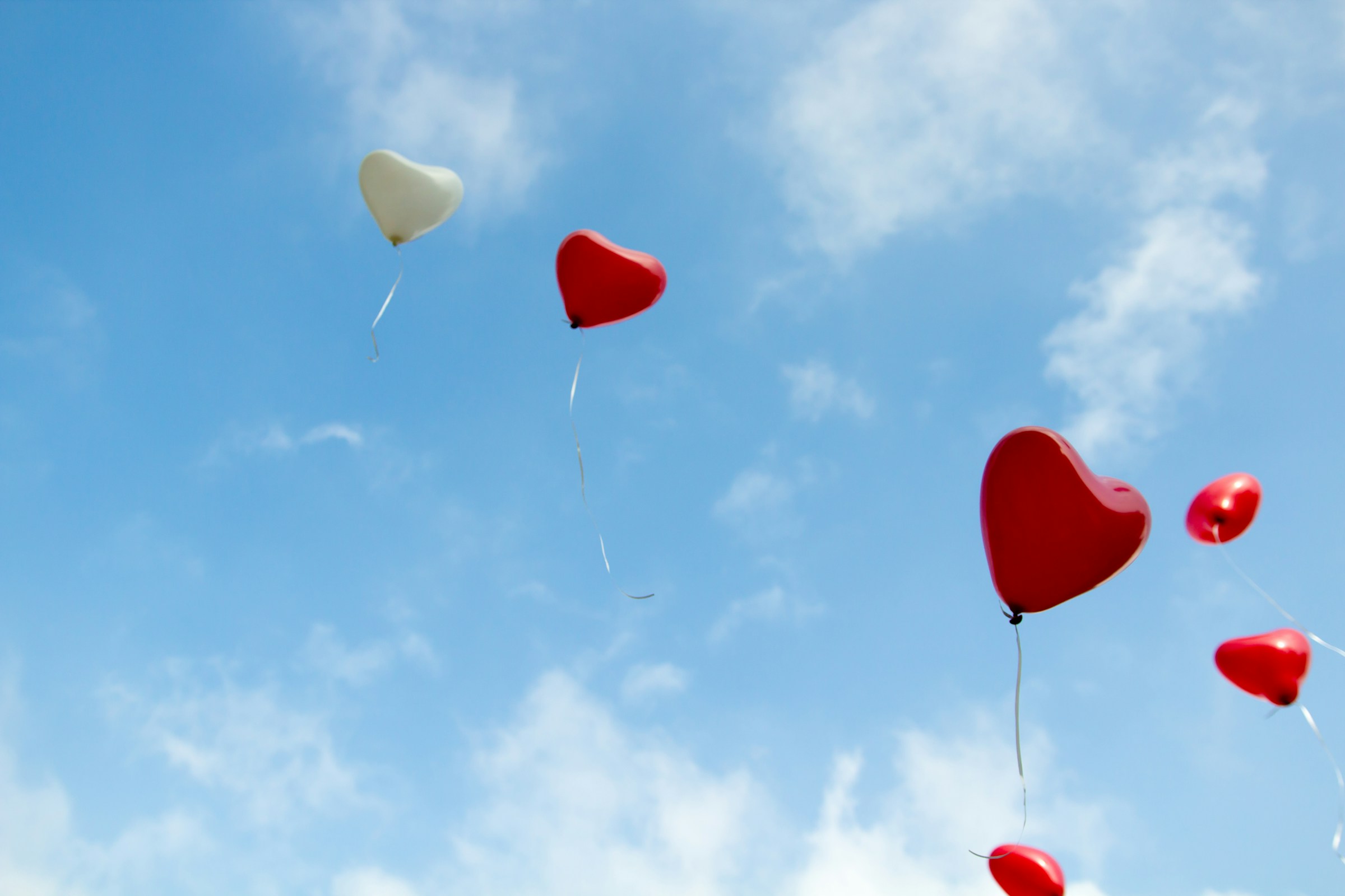 Heart Icon